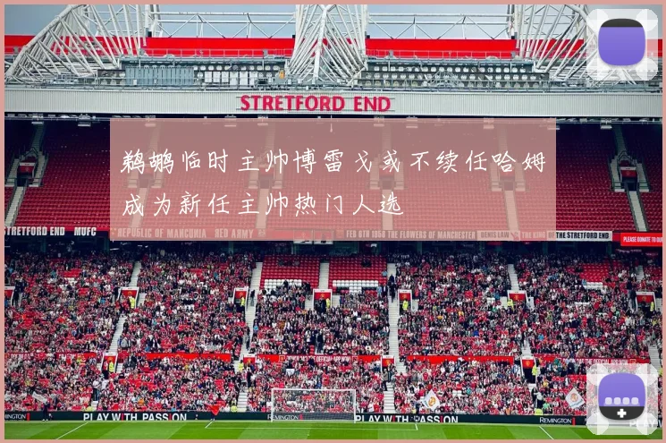鹈鹕临时主帅博雷戈或不续任哈姆成为新任主帅热门人选