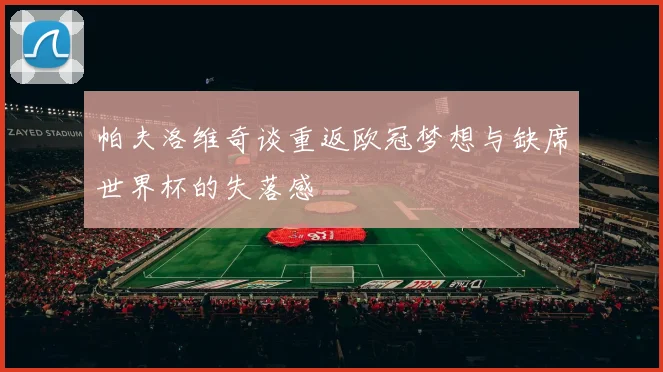 帕夫洛维奇谈重返欧冠梦想与缺席世界杯的失落感